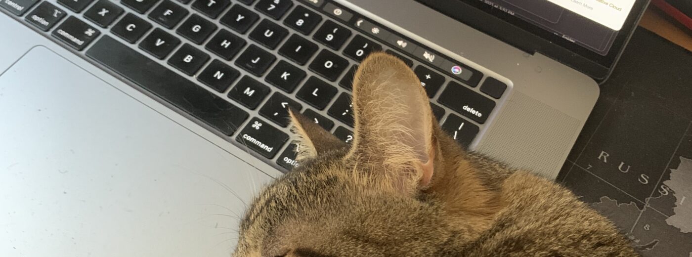 laptop with cat resting on it