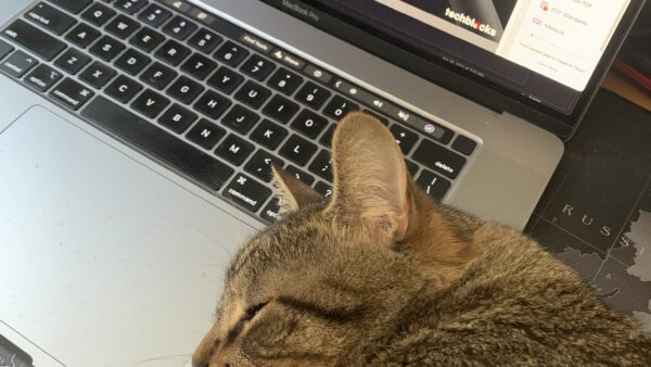 laptop with cat resting on it