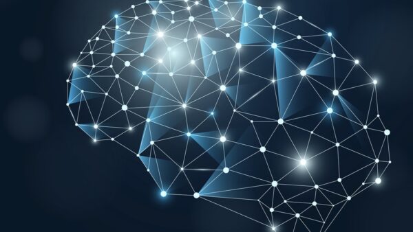 polygon brain illustration